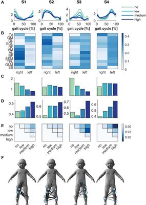 Body Weight Control Is a Key Element of Motor Control for Toddlers’ Walking